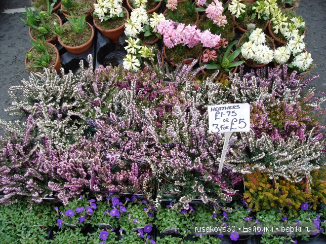 Две куклы из маленького английского городка Стамфорд