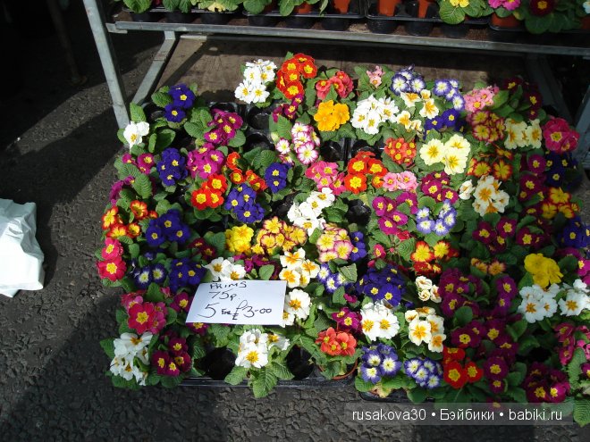 Две куклы из маленького английского городка Стамфорд