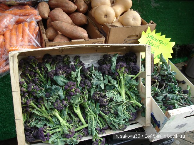 Две куклы из маленького английского городка Стамфорд