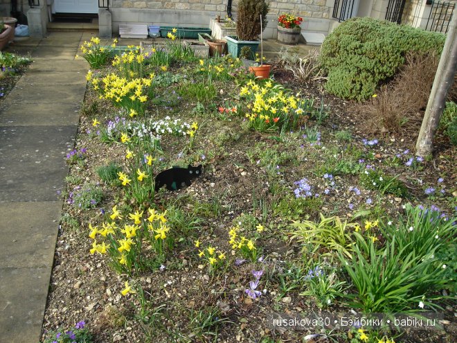 Две куклы из маленького английского городка Стамфорд