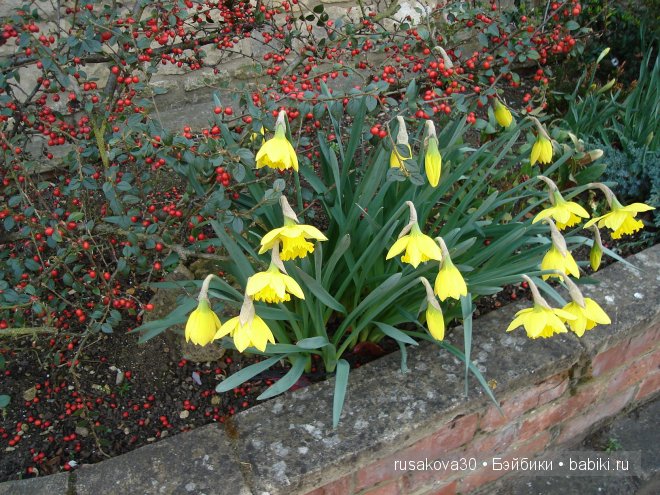 Две куклы из маленького английского городка Стамфорд