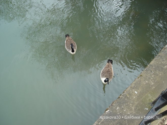 Две куклы из маленького английского городка Стамфорд