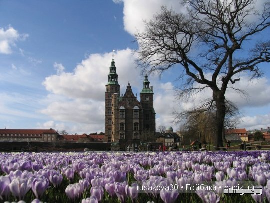 "Крибле, Крабле ,бумс...!!"