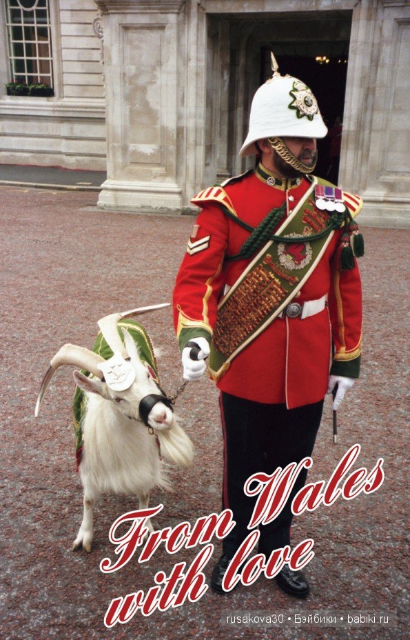 Wales ,Cymru - Уэльс — Туризм и путешествия: фотоотчеты из поездок