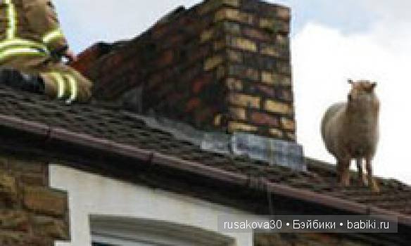 Wales ,Cymru - Уэльс — Туризм и путешествия: фотоотчеты из поездок