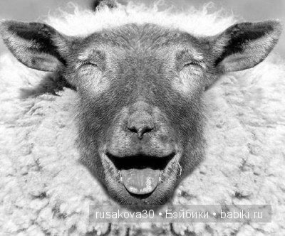 Wales ,Cymru - Уэльс — Туризм и путешествия: фотоотчеты из поездок