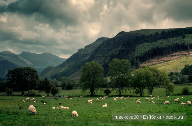Англия. Графство Камбрия, Озерный край (фото 3)
