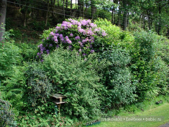 Англия. Графство Камбрия, Озерный край