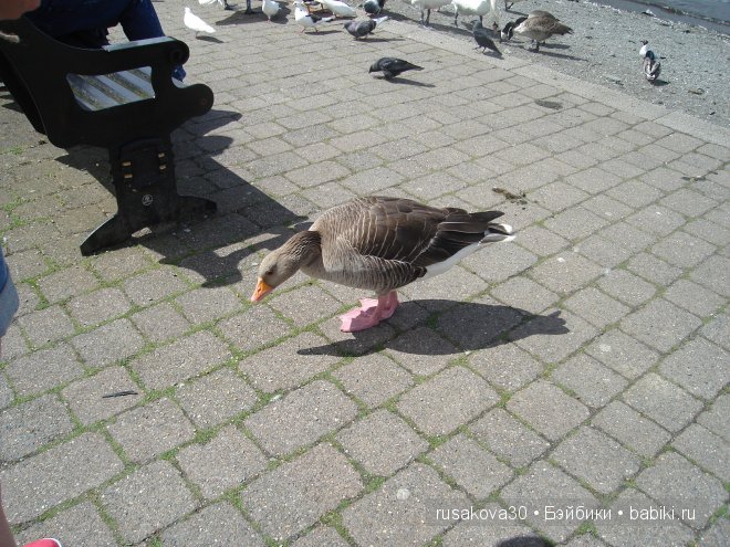 Англия. Графство Камбрия, Озерный край