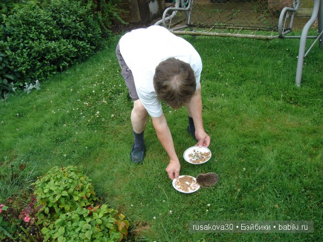 Английский завтрак, обед и ужин .....или едим не дома