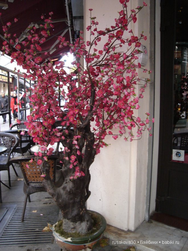 «Увидеть Париж и умереть» ....продолжение