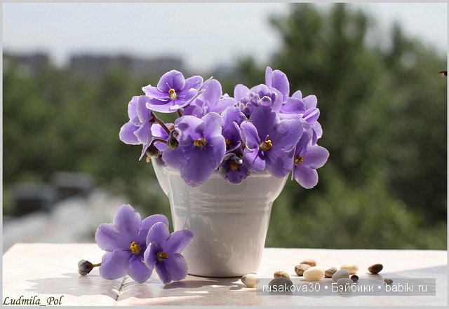 «Увидеть Париж и умереть» ....продолжение (фото 4)