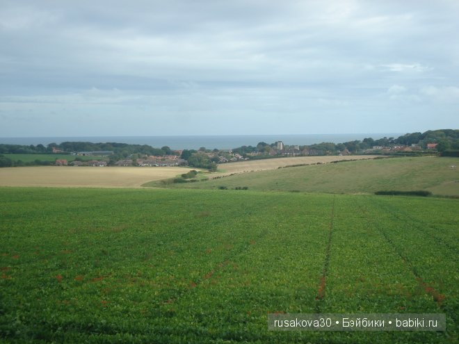Осторожно, двери закрываются. Следущая станция - маковое поле