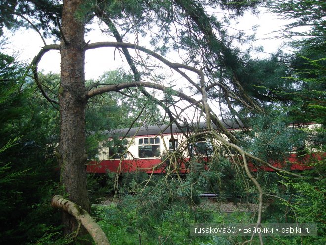 Осторожно, двери закрываются. Следущая станция - маковое поле