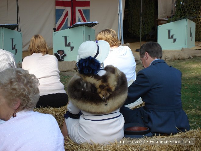 Осторожно, двери закрываются. Следующая станция -1940 год.!(продолжение)