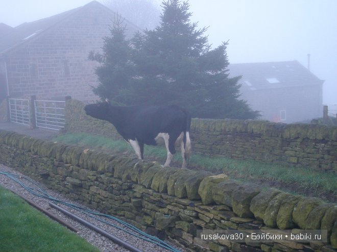 Графство Шарлотте Бронте — Туризм и путешествия: фотоотчеты из поездок
