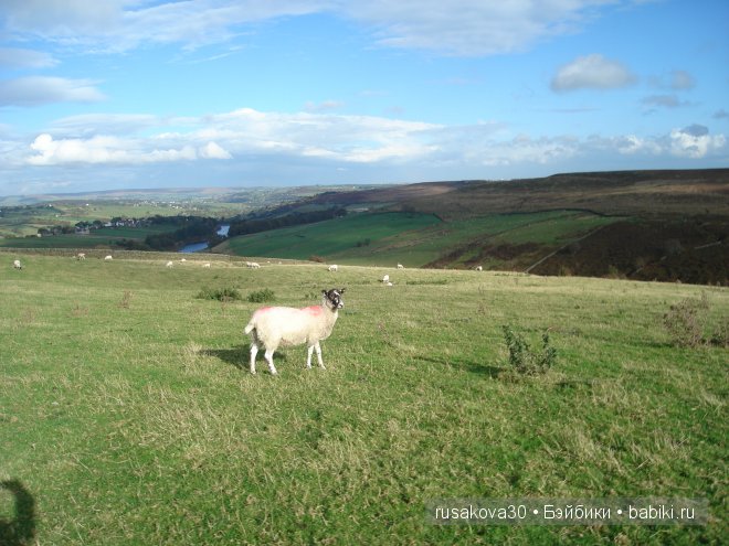 Графство Шарлотте Бронте — Туризм и путешествия: фотоотчеты из поездок