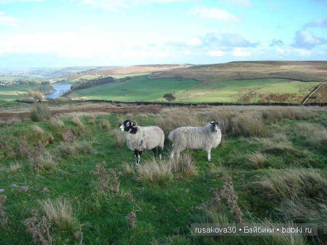 Графство Шарлотте Бронте — Туризм и путешествия: фотоотчеты из поездок