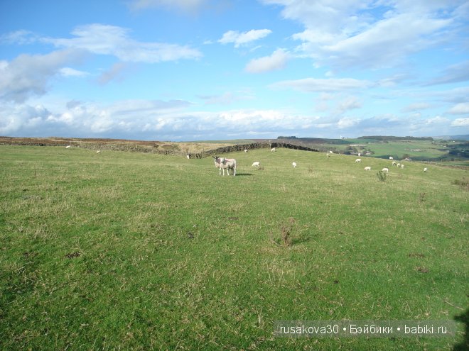 Графство Шарлотте Бронте — Туризм и путешествия: фотоотчеты из поездок
