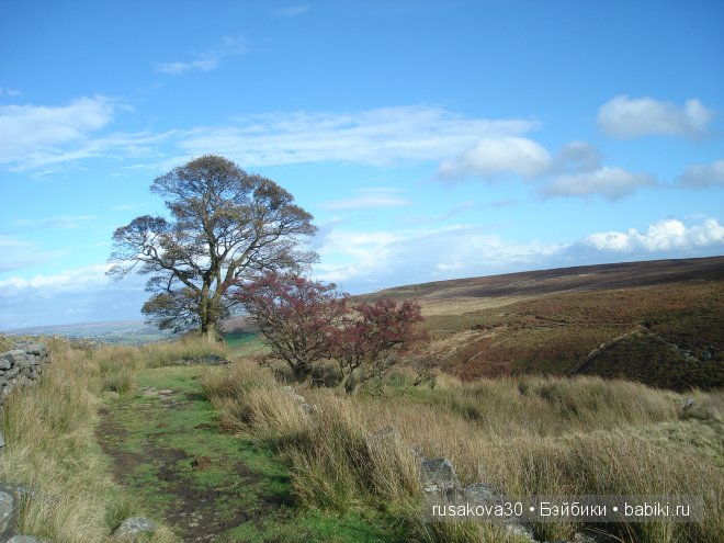 Графство Шарлотте Бронте — Туризм и путешествия: фотоотчеты из поездок