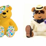 Медвежонок Падси (Pudsey)