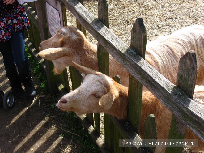 Стрэтфорд-на-Эйвоне — город Шекспира