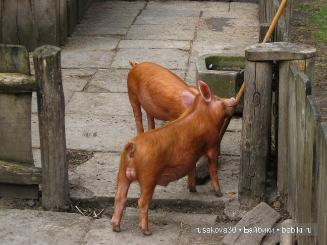 Стрэтфорд-на-Эйвоне — город Шекспира