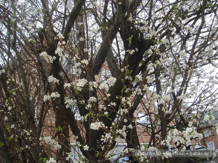 Антикварный базар в городе Дерби (Derby)