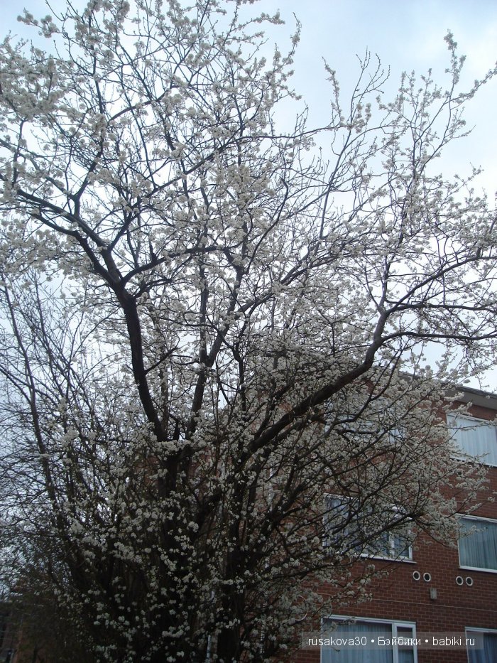 Антикварный базар в городе Дерби (Derby)
