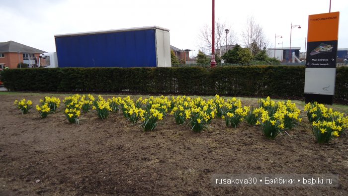 Антикварный базар в городе Дерби (Derby)