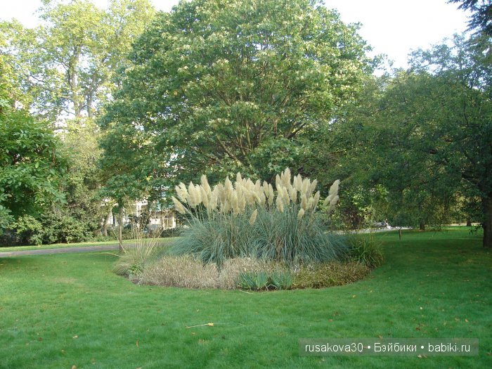 Лондон ,антикварный магазин