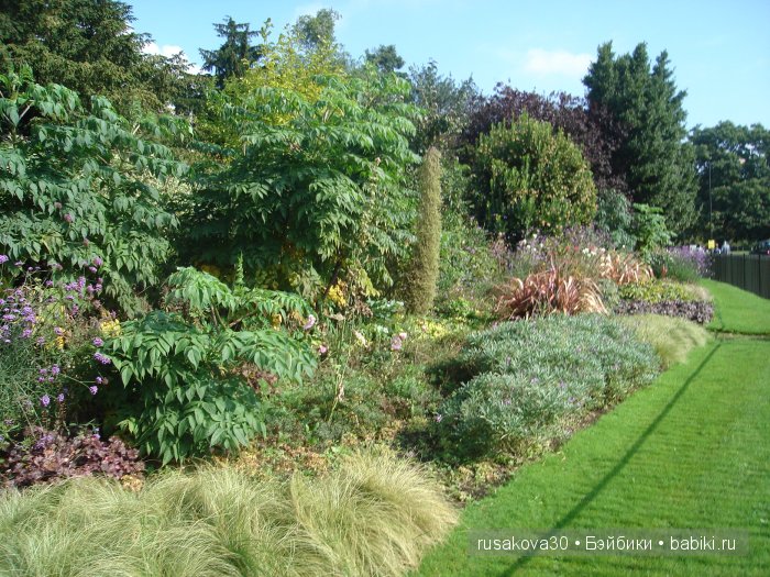 Лондон ,антикварный магазин