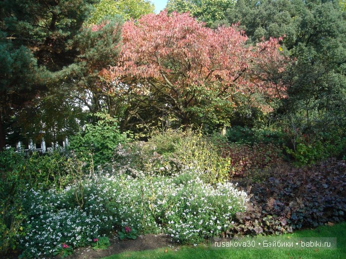 Лондон ,антикварный магазин