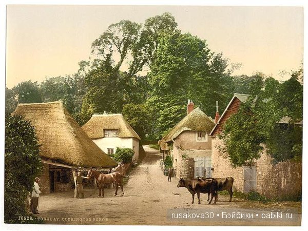 Маленькая английская деревушка - Cockington (фото 5)