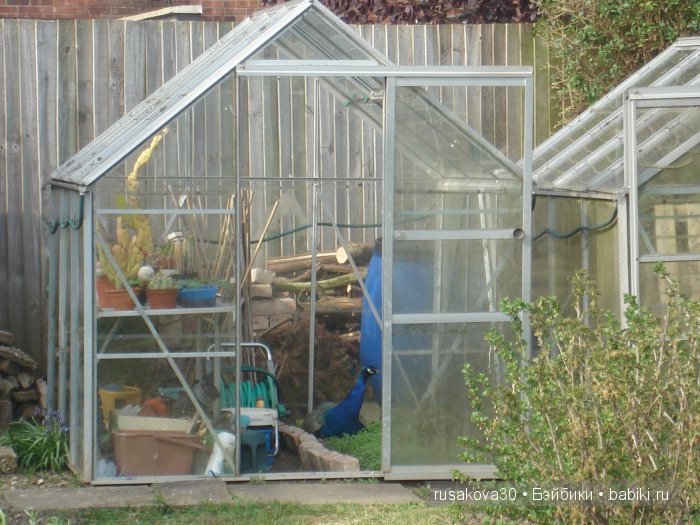 Весенние краски с Беатрик от Хелен Киш