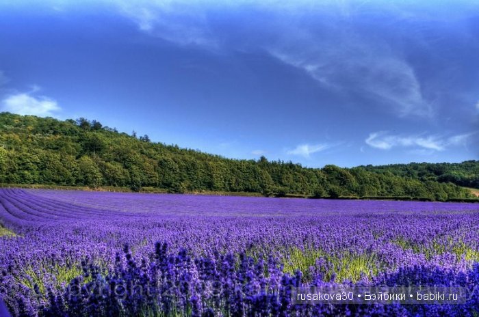 Графство Кент (Kent ) — Туризм и путешествия: фотоотчеты из поездок (фото 2)