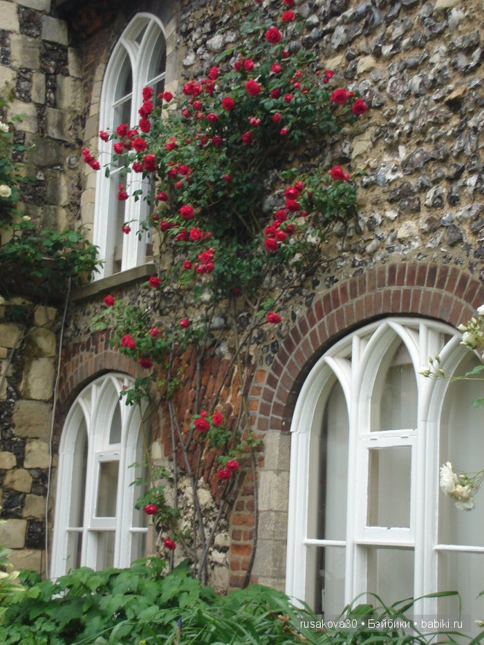 Графство Кент (Kent ) — Туризм и путешествия: фотоотчеты из поездок