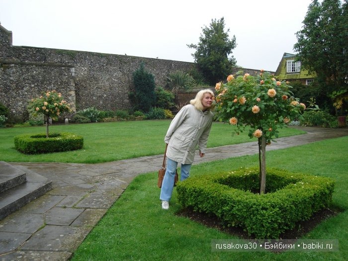 Графство Кент (Kent ) — Туризм и путешествия: фотоотчеты из поездок
