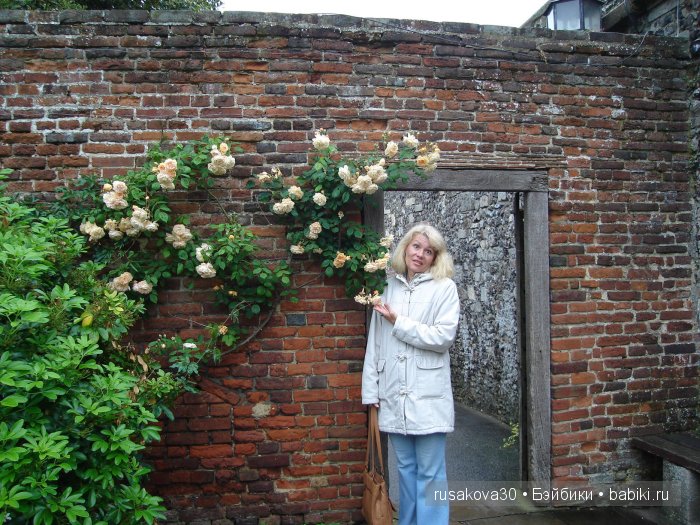 Графство Кент (Kent ) — Туризм и путешествия: фотоотчеты из поездок