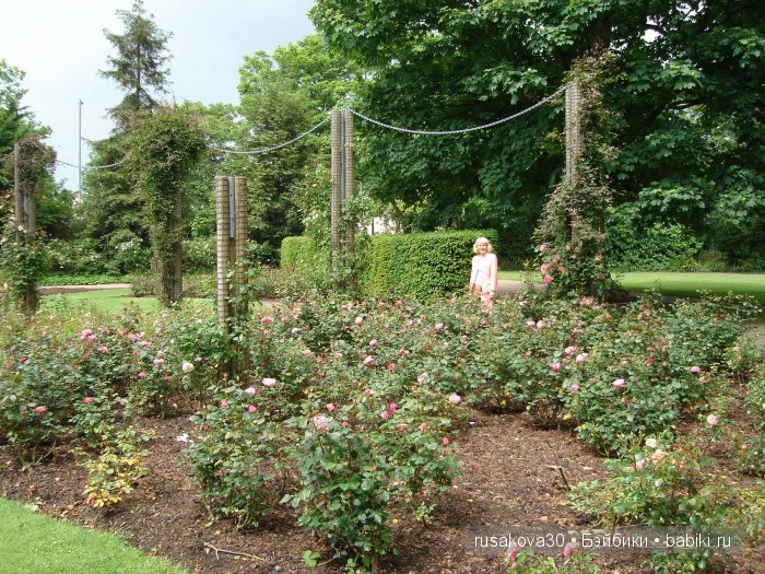 Графство Кент (Kent ) — Туризм и путешествия: фотоотчеты из поездок (фото 9)