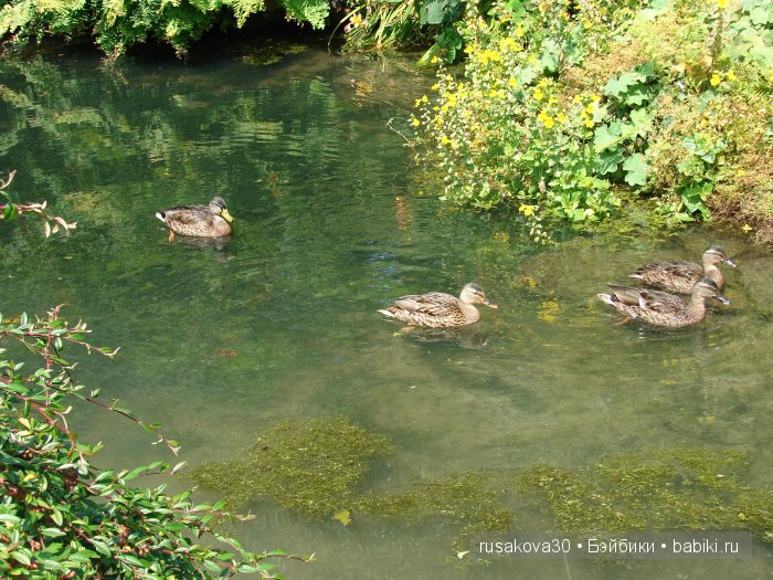 Загородное поместье Королевы- Сэндрингхэм (Sandringham House)