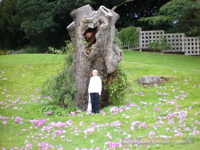 Загородное поместье Королевы- Сэндрингхэм (Sandringham House) (фото 5)