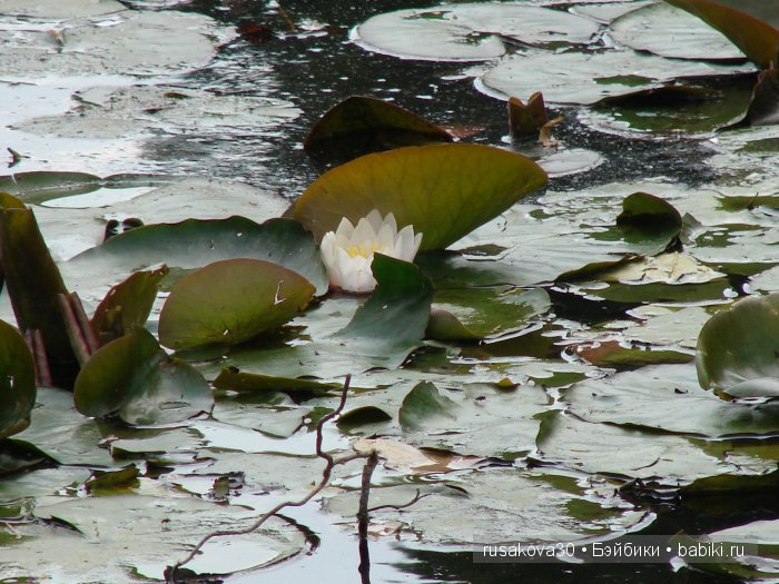 Загородное поместье Королевы- Сэндрингхэм (Sandringham House)