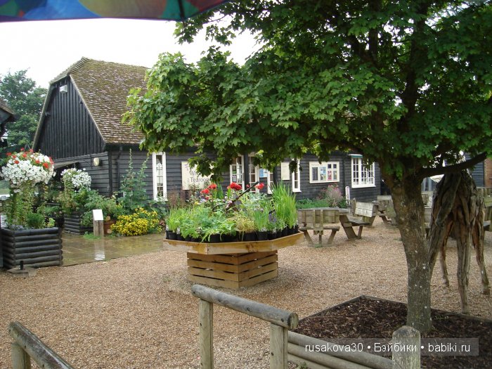 Вкусный топик ( не читать на ночь ) (фото 2)