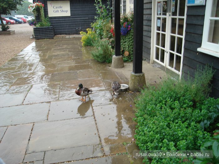 Вкусный топик ( не читать на ночь ) (фото 4)