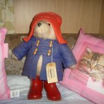 Как меня нашел мой любимый мишка Паддингтон