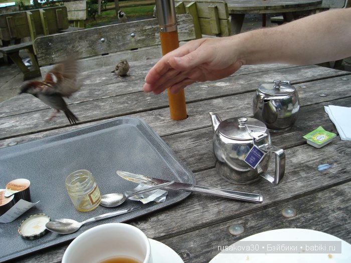 Вкусный топик ( не читать на ночь )