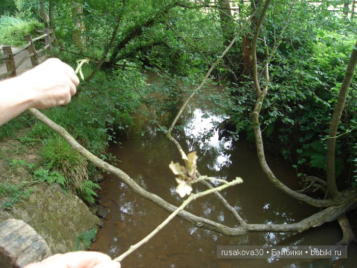 Уголок Винни-Пуха или Pooh Coner