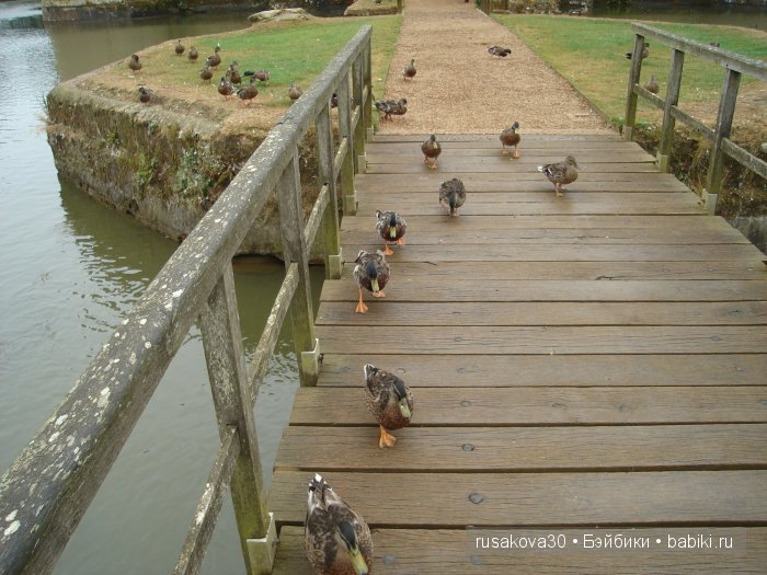 Замок Бодиам ( Bodiam Castle)