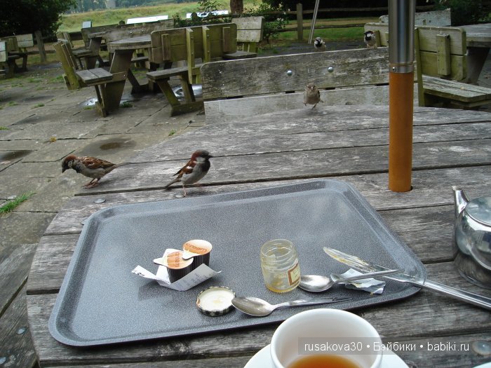 Вкусный топик ( не читать на ночь )